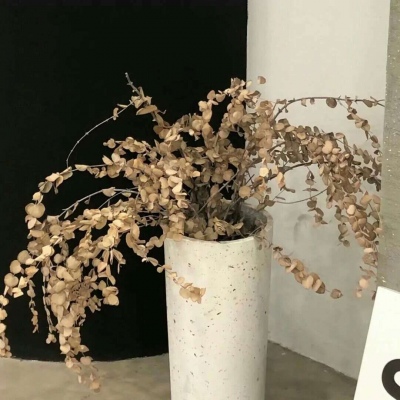 Furry创作思路分享福瑞交流群